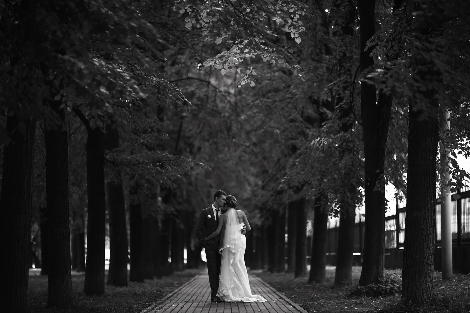 Pasangan pengantin di laluan pokok